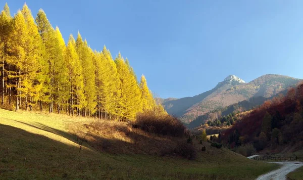 Mount Klak, Mala Fatra from Strazovske vrchy, Slovakia — Stockfoto