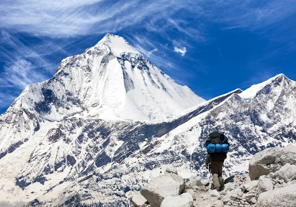 Monte Dhaulagiri con turista, gran sendero del Himalaya —  Fotos de Stock