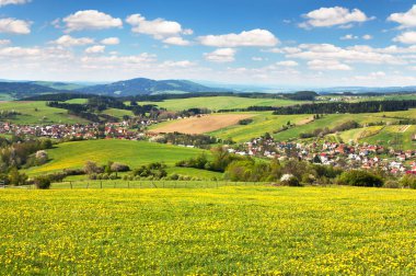 çayır ful dandelions ve güzel bulutlar