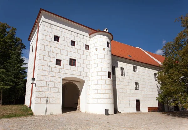 Ayrıntı dış Trebic Manastırı, UNESCO tarafından — Stok fotoğraf