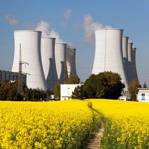 Centrale nucléaire et champ de colza Image En Vente