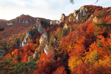 Sulov rockies kırmızı renkli görünümünden sonbahar akşam