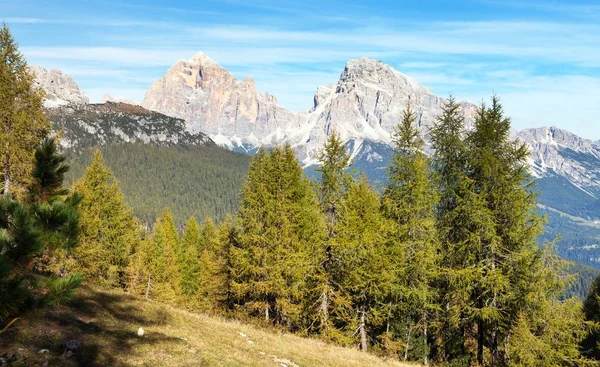 Melez (bitki) ahşap ve Le Tofane tur, Dolomiti, İtalya