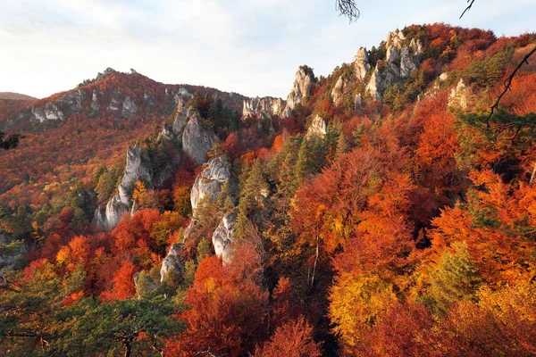 Sulov rockies kırmızı renkli görünümünden sonbahar akşam