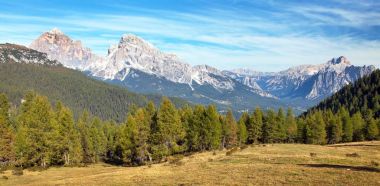 Melez (bitki) ahşap ve Le Tofane tur, Dolomiti, İtalya