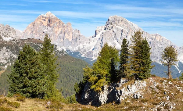 Melez (bitki) ahşap ve Le Tofane tur, Dolomiti, İtalya