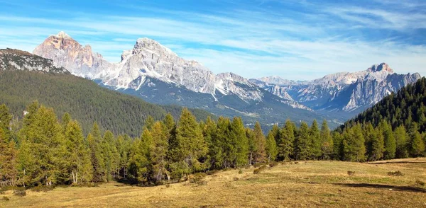 Melez (bitki) ahşap ve Le Tofane tur, Dolomiti, İtalya