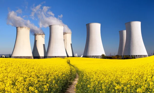 Elektrownia jądrowa i pole rzepaku — Zdjęcie stockowe