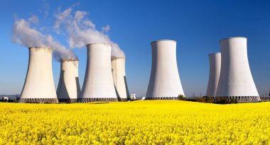 Nükleer santral ve kolza tohumu alan