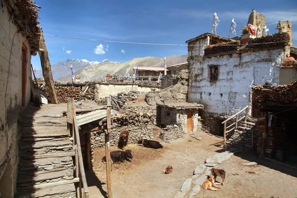 Pueblo de Jharkot, circuito de Annapurna ronda sendero de trekking —  Fotos de Stock