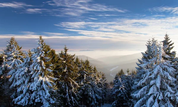 Зимний вид с гор Яворники, Словакия — стоковое фото