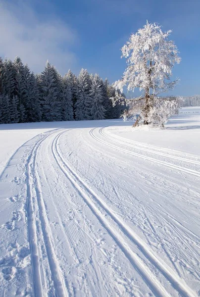 Chłodny krajobraz ze zmodyfikowanym biegowe narty sposób — Zdjęcie stockowe