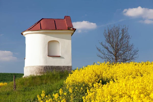 Kaplica i pola rzepaku, wiosenny krajobraz — Zdjęcie stockowe