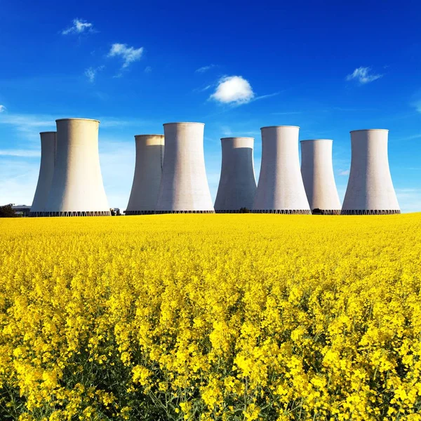 Nuclear power plant and field of rapeseed