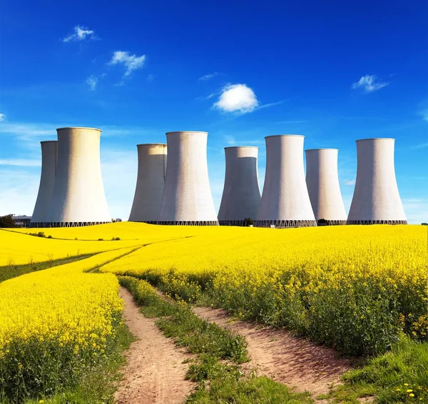 Centrale nucléaire et champ de colza — Photo