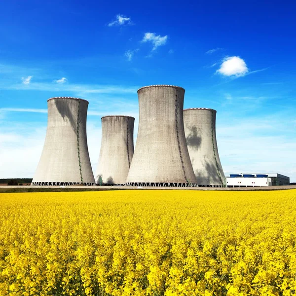 원자력 발전소와 유채의 분야 — 스톡 사진