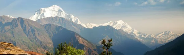 Panoramik dağ Dhaulagiri — Stok fotoğraf