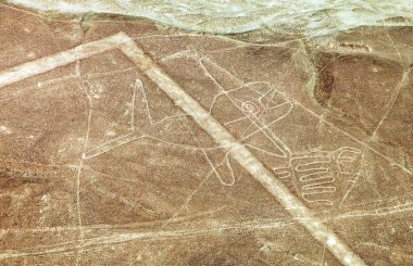The whale, Nazca mysterious lines and geoglyphs clipart