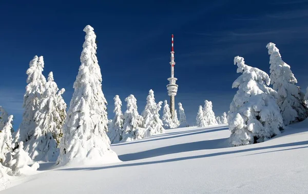 Televisiolähetin praded ja lumihuippuiset puut — kuvapankkivalokuva