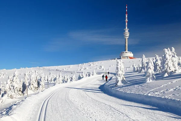 Skipfad jesenik mountains mount praded — Stockfoto