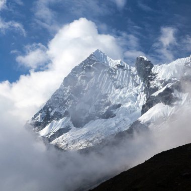 Salkantay 'daki beyaz at Machu Picchu yolunda ilerliyor.
