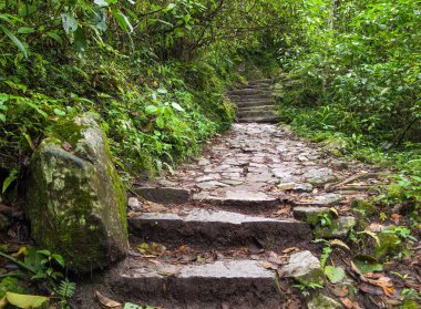 Machu Picchu, Peru İnka şehrine giden yol.