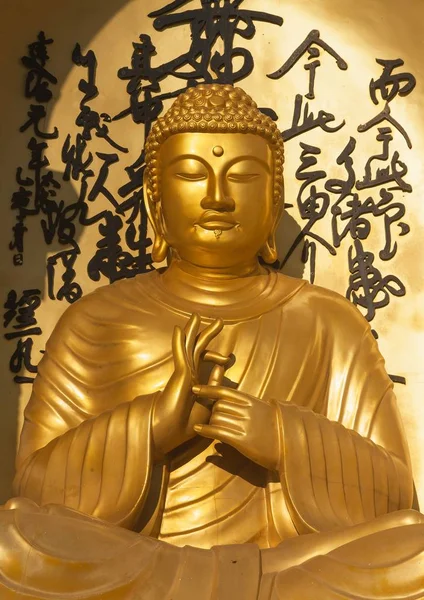 Statue of Buddha on World peace stupa near Pokhara — Stock Photo, Image