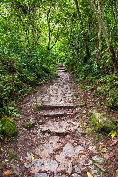 Machu Picchu, pathway to peruvian incan town — Stock Photo, Image