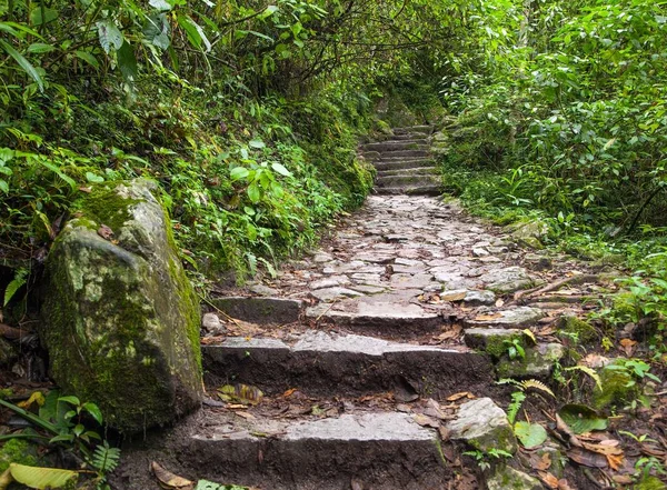 Machu Picchu, pathway to peruvian incan town — Stock Photo, Image