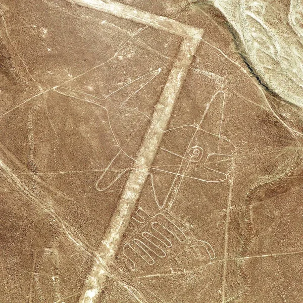 The whale, Nazca mysterious lines and geoglyphs — Stock Photo, Image