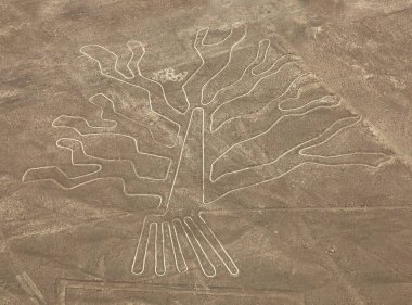 Ağaç geoglifleri, Nazca gizemli çizgiler ve geoglifler.