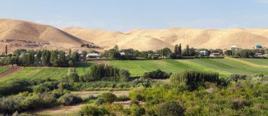 Kırgızistan 'daki Fergana veya Fargona vadisi