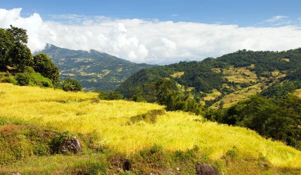 Risaie o risaie in Nepal Montagne dell'Himalaya — Foto Stock