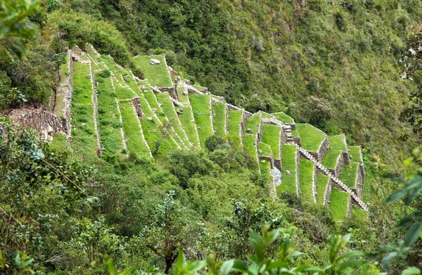 Choquequirao, one of the best Inca ruins in Peru — Stock Photo, Image