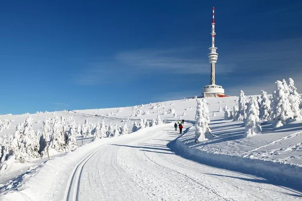 Skipfad jesenik mountains mount praded — Stockfoto