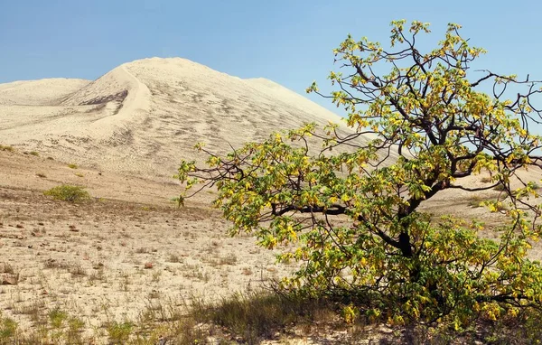 Cerro Blanco песчаная дюна недалеко от Наска или Наска в Перу — стоковое фото