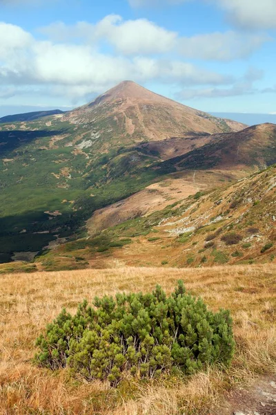 Monte Hoverla ou Goverla, Ucrânia montanhas Karpathian — Fotografia de Stock