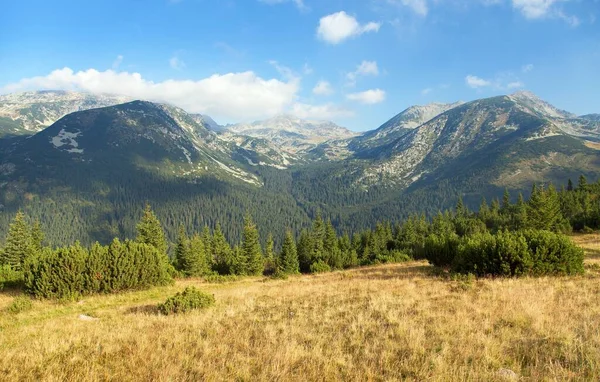 Vue Panoramique Sur Montagne Depuis Carpathie Roumaine Montagnes Retezat Roumanie — Photo