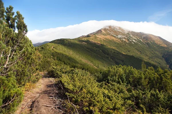 Utsikt Från Ukraina Carpathian Mountains Mount Pip Ivan Panoramautsikt — Stockfoto