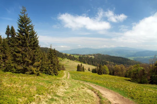 Widok Beskidów Granica Polska Słowacja Karpaty — Zdjęcie stockowe