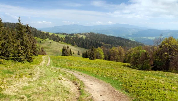 View Beskid Mountains Poland Slovakia Border Carpathian Mountains — Stock Photo, Image