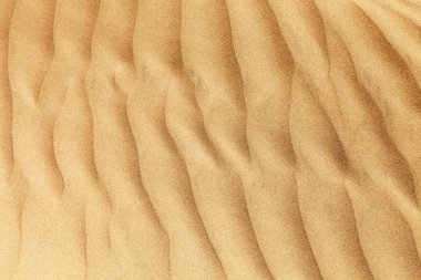 Çöldeki kum tepeleri, Cerro Blanco kum tepeciklerindeki kum dalgaları, dünyanın en yüksek kum tepeleri, Peru 'daki Nasca ya da Nazca kasabası yakınlarında yer alır. 