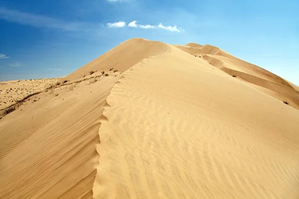 Cerro Blanco Sand Dune Highest Dunes World Located Nasca Nazca — Stock Photo, Image