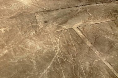 Akbaba geoglifleri, Nazca gizemli çizgileri ve geoglifler Peru 'da sepia renkli, dönüm noktası.