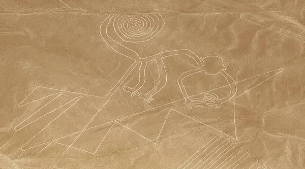 Monkey geoglyph, Nazca mysterious lines and geoglyphs aerial view, landmark in Peru