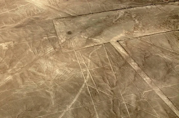 Akbaba geoglifleri, Nazca gizemli çizgileri ve geoglifler Peru 'da sepia renkli, dönüm noktası.