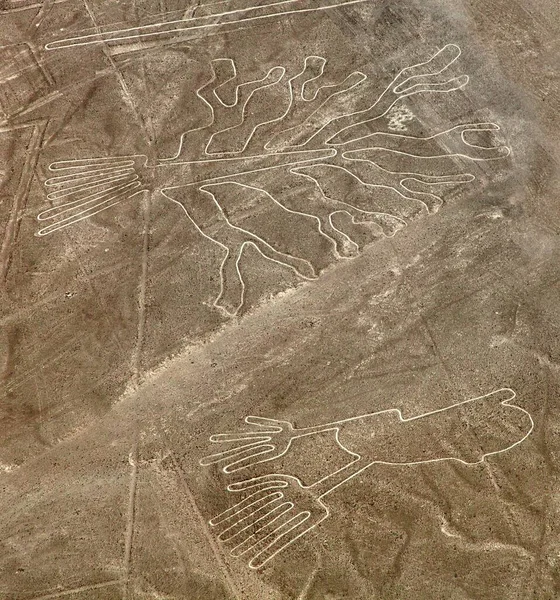 树和手的几何图形 纳斯卡神秘线和几何图形的空中景观 秘鲁的地标 — 图库照片