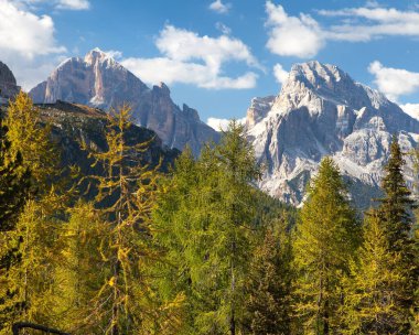 Larch Wood ve Tofano, Tofana veya Le Tofane Gruppe, Alp Dolomitleri Dağları, İtalya