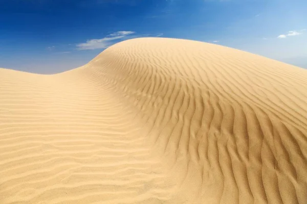 Pouštní Písečné Duny Písečné Vlny Písečné Duně Cerro Blanco Nejvyšší — Stock fotografie