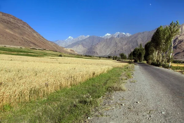 계곡의 도로와 고르노 바탁산 타지키스탄 아프가니스탄 — 스톡 사진